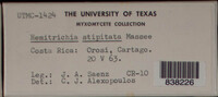Image Associated With the Occurence